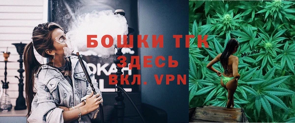 мдпв Богданович