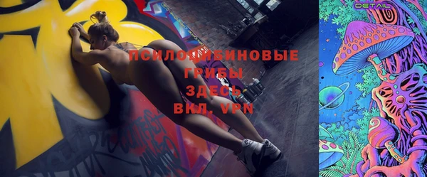 мдпв Богданович
