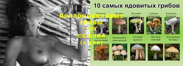мдпв Богданович