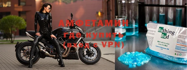 мдпв Богданович
