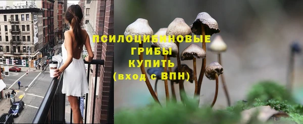 COCAINE Богородицк