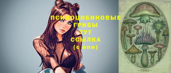 COCAINE Богородицк